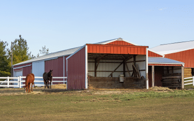 Do you understand everything you need to know about the pole barn?